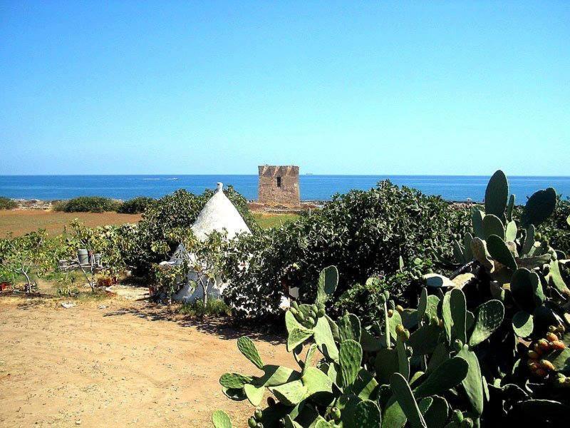 Manfredi Home Polignano a Mare Dış mekan fotoğraf